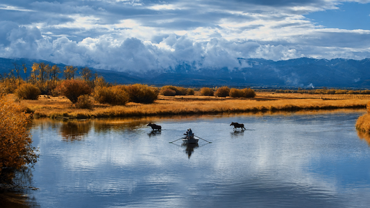 NexGen – Fly Fishing Film (Digital Download)