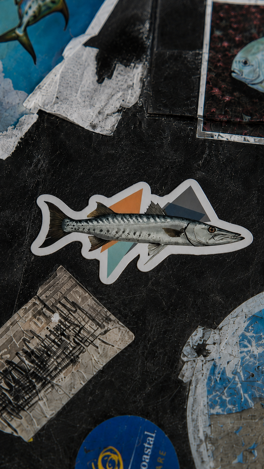 Barracuda Fishing Sticker – Fish Art Vinyl Decal