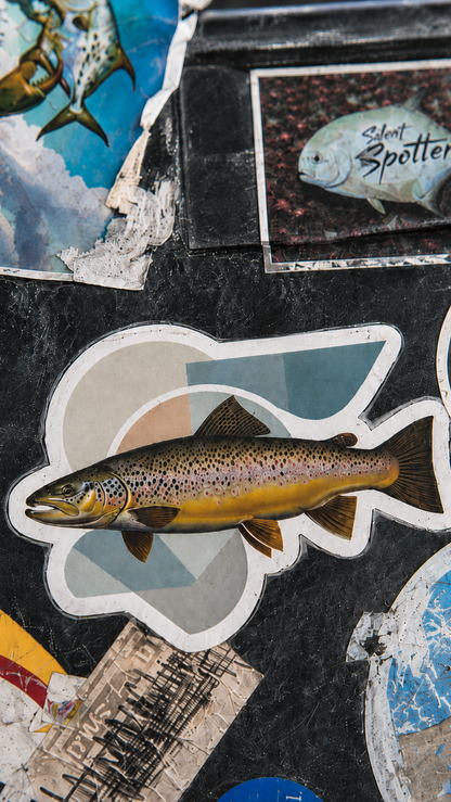 Brown Trout Fishing Sticker – Fish Art Vinyl Decal