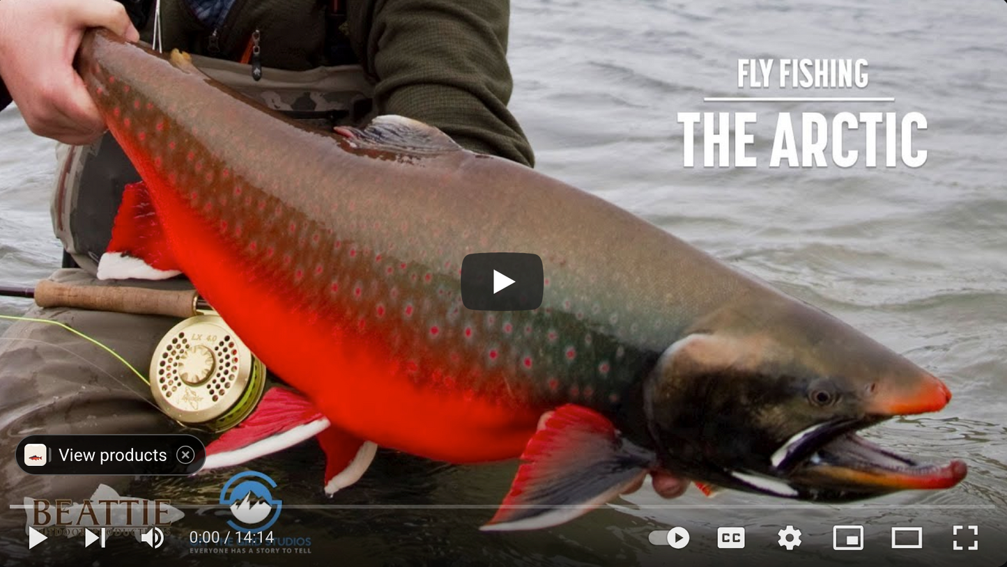 The Arctic – Fly Fishing Film, 4K Remastered (Digital Download)
